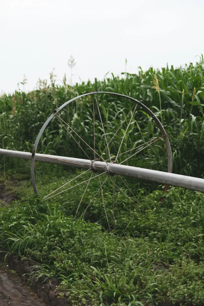 Center-pivot irrigation equipment beside a cornfield